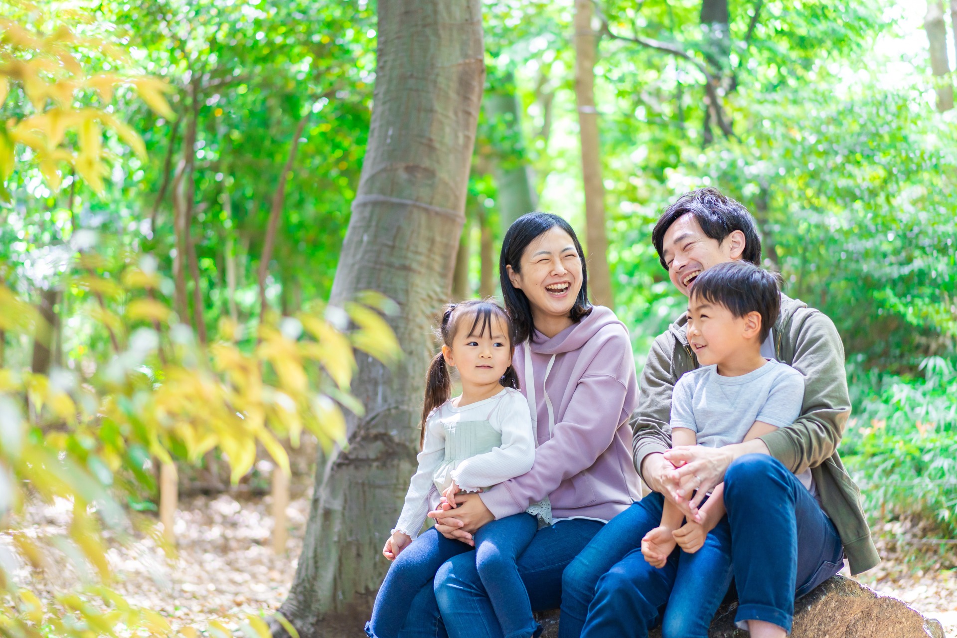 AdobeStock_460825405_1920x1280